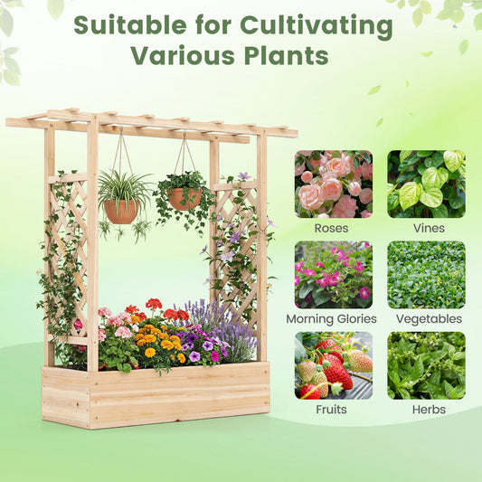 45 inch Tall Wooden Raised Garden Bed with Side Trellis and Hanging Roof - Tampa Home & Garden Store