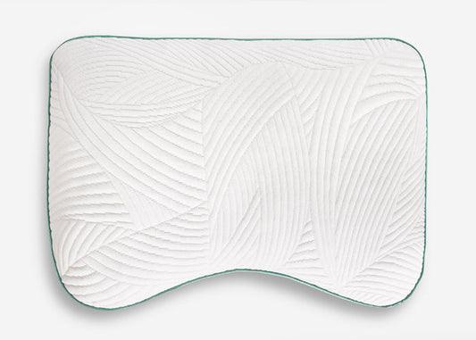 BedGear Level Cuddle Curve Pillow backrest white quilted with teal edge HouseOfZazla on Tampa Home & Garden Store
