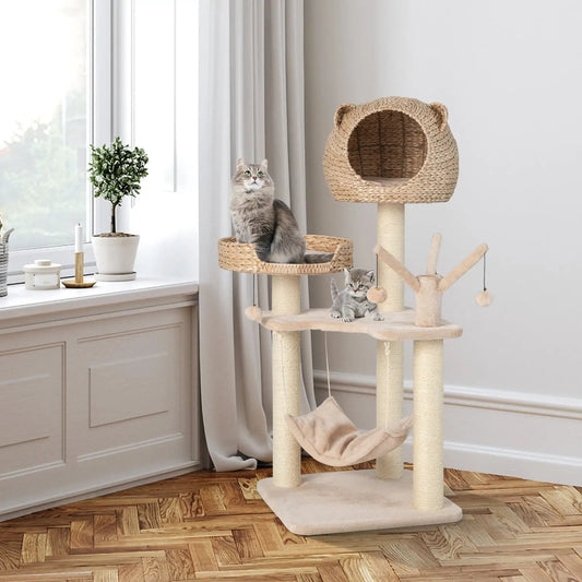Multi Level Cat Tree with Condo, Hammock and Hanging Balls, two kittens present on Tampa Home & Garden Store
