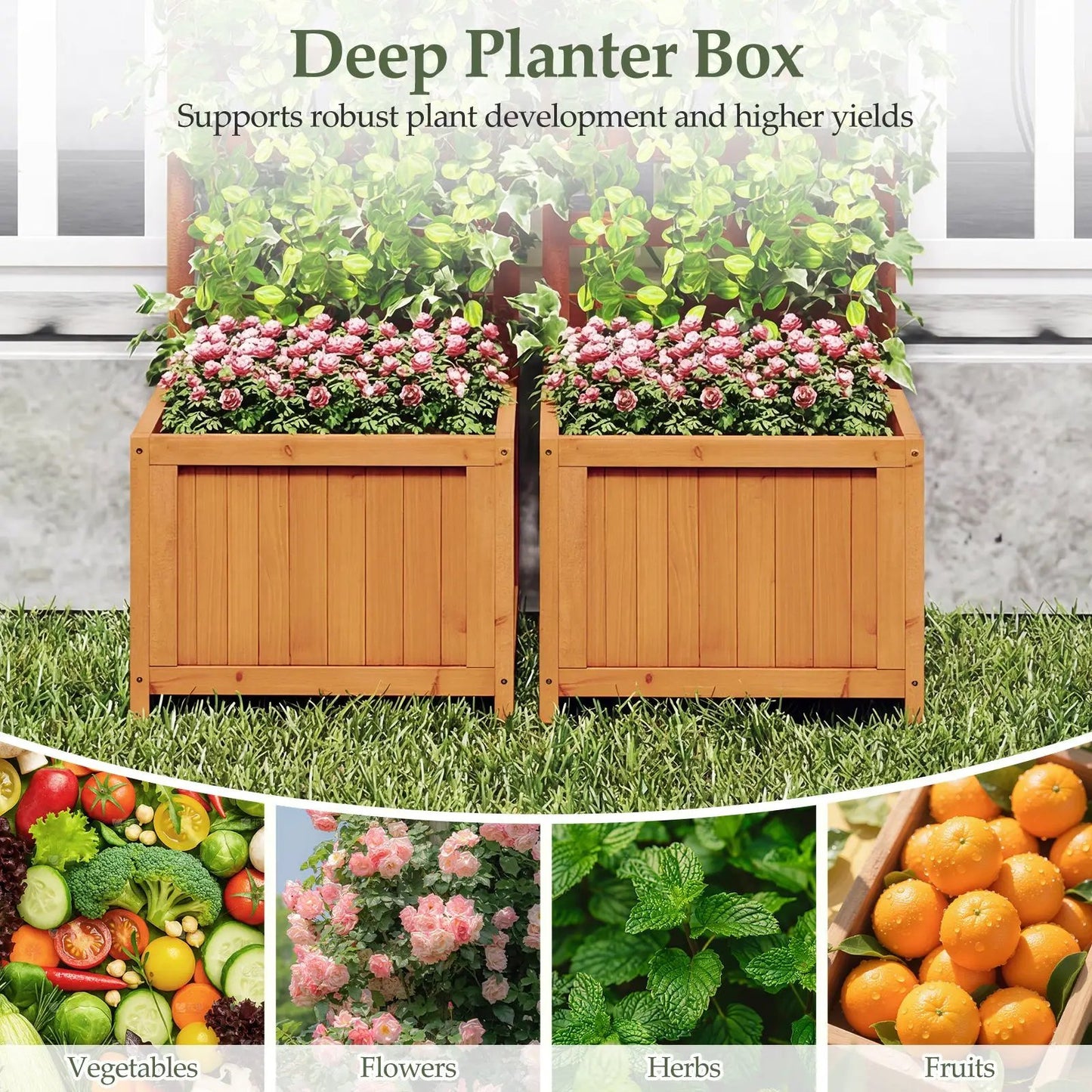 48 Inch Wood Raised Garden Bed with Trellis natural wood finish two planters with lush greenery on Tampa Home & Garden Store