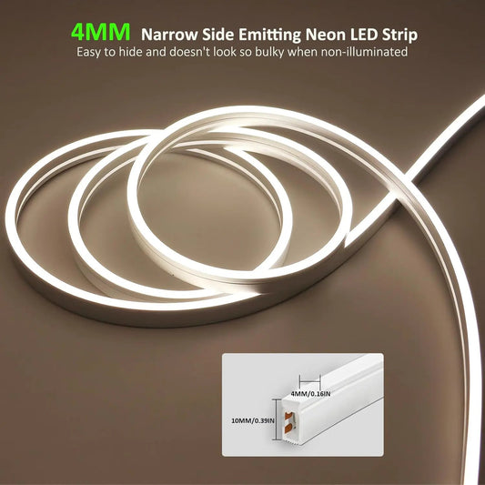 SLN01 Dotless COB Neon LED 16.4FT (5M) Strip Light DC24V 60W IP67 10x10MM Outdoor Rated Dimmable Low Voltage Silicone Rope Light - Tampa Home & Garden Store
