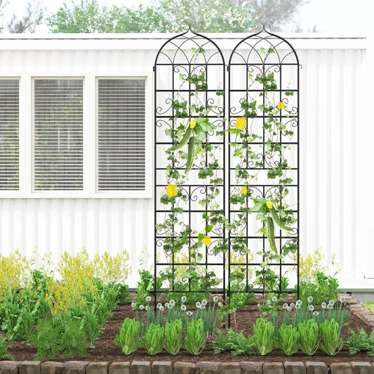 4-pack metal garden trellis, 86 in x 20 in, black arch-top scrollwork for climbing plants on Tampa Home & Garden Store