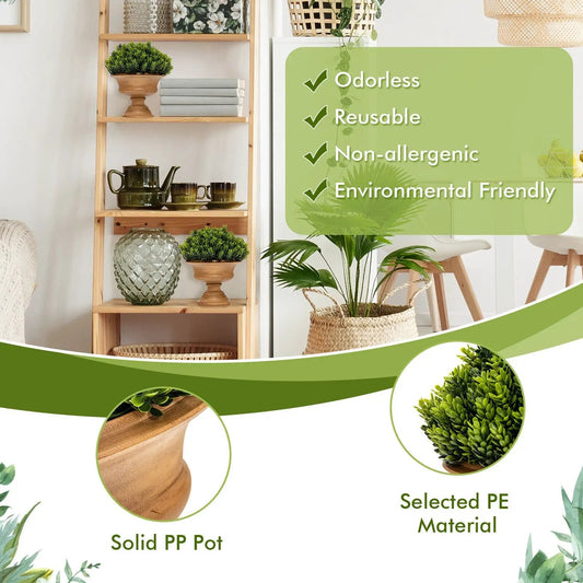 4 Pack Artificial Boxwood Topiary Trees in terracotta pots displayed on a wooden shelf on Tampa Home & Garden Store