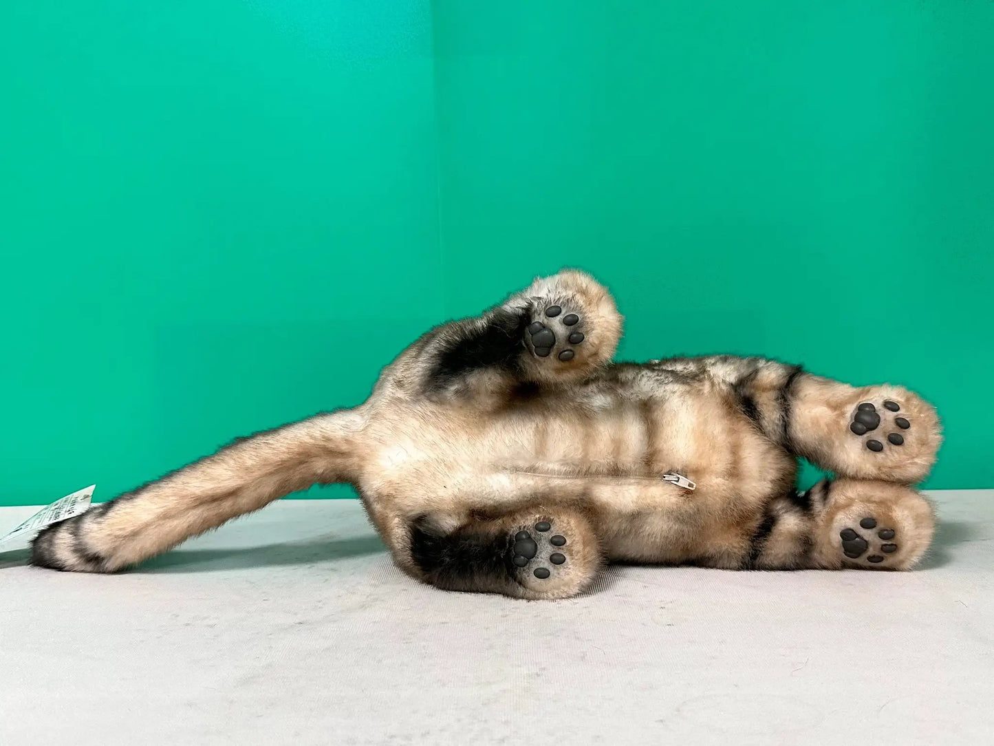 Plush American Shorthair life-size cat by Chongker with beige-gray fur and black paw pads on Tampa Home & Garden Store