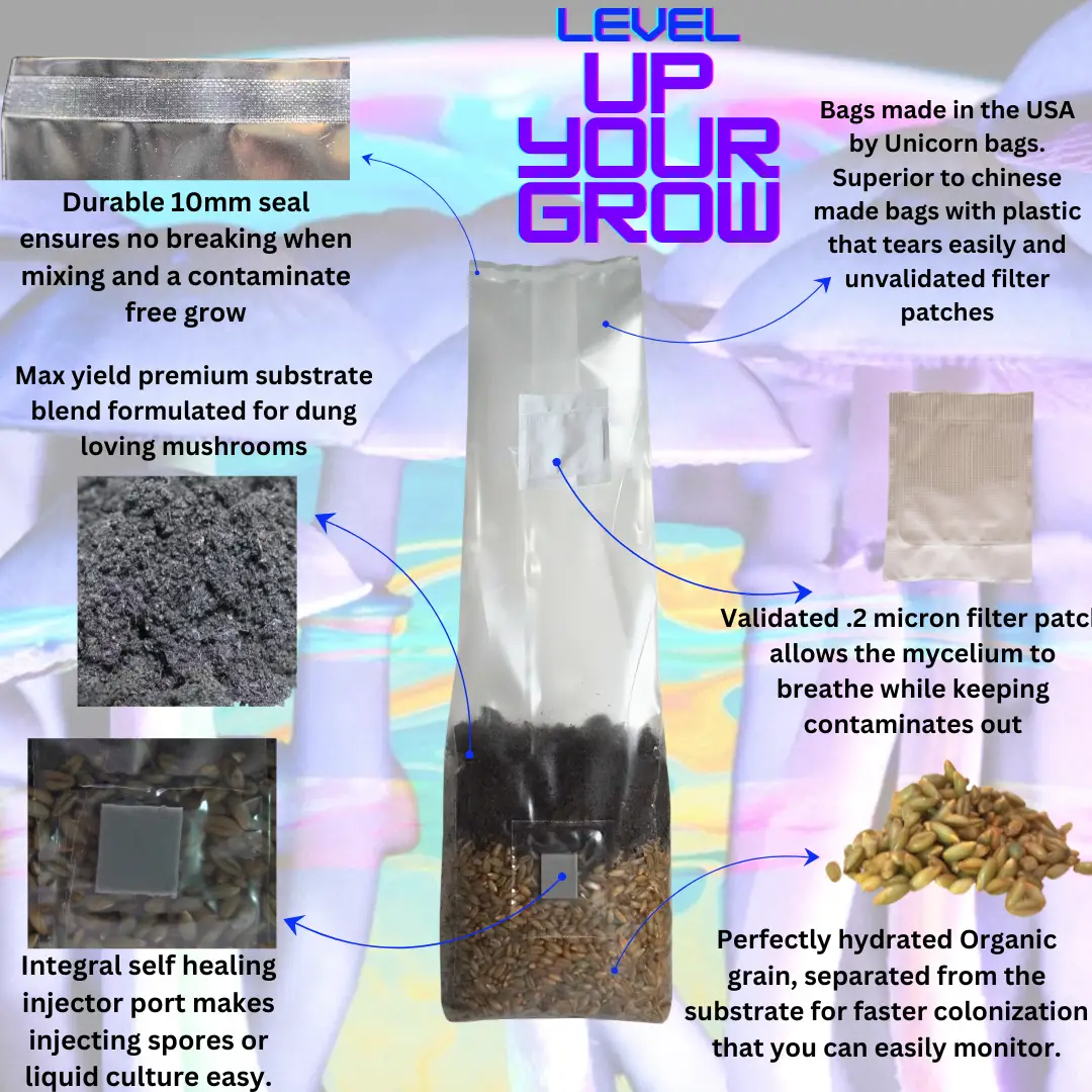 All In One Mushroom Grow Bag Bundle 16 Count - Tampa Home & Garden Store