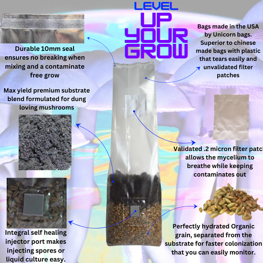 Mushroom Grow Kit - 4 Pack - All In One Mushroom Grow Bags