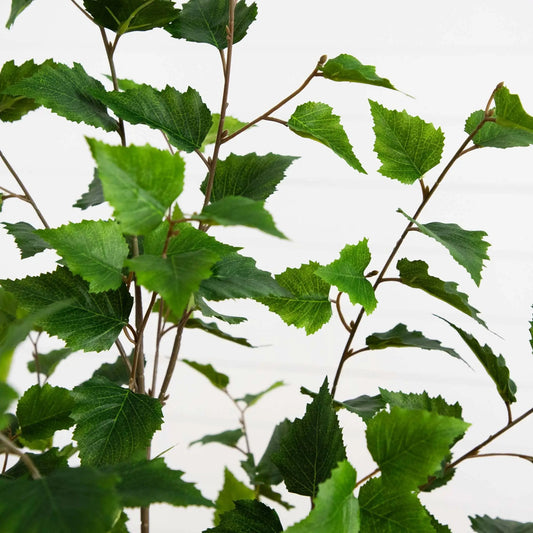 Five Foot Artificial Birch Tree with green serrated leaves on brown branches Nearly Natural on Tampa Home & Garden Store