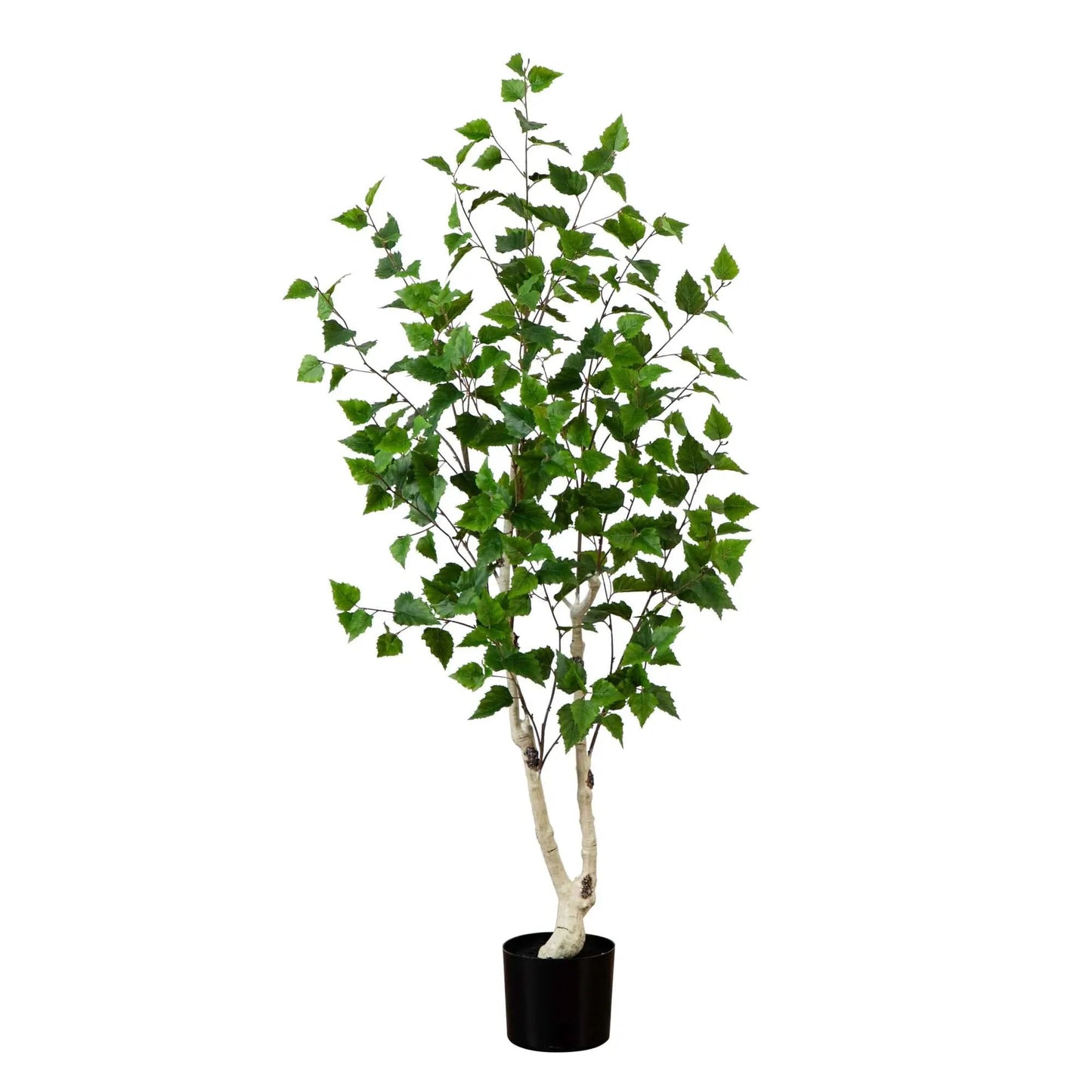 Five-foot artificial birch tree with green leaves in a black planter Nearly Natural indoor decor on Tampa Home & Garden Store