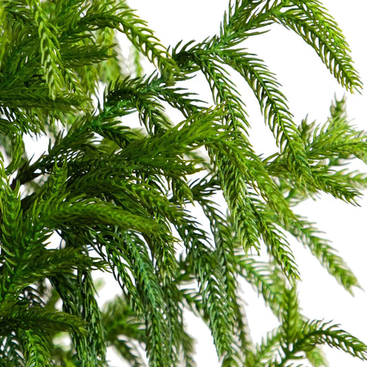 Five Foot Artificial Norfolk Pine Tree with dense green needles on Tampa Home & Garden Store