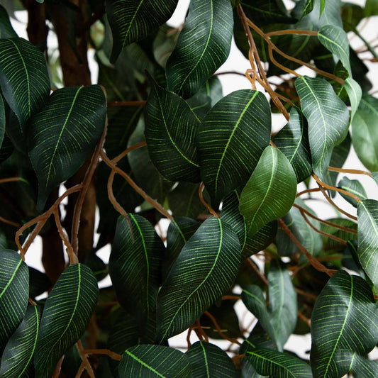 Five Foot Ficus Silk Tree 756 Leaves Nearly Natural artificial plant with dark green leaves on Tampa Home & Garden Store