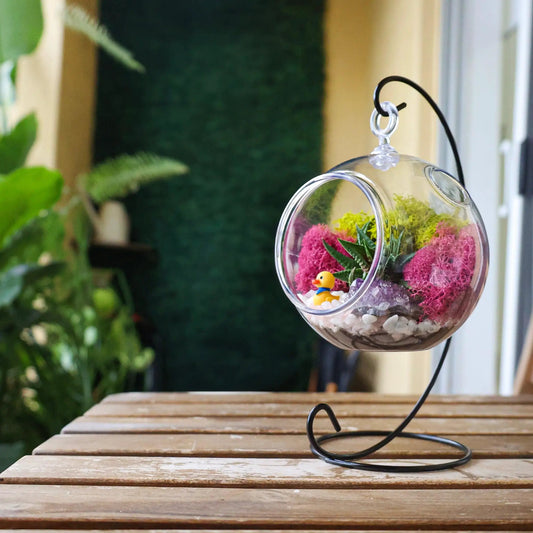 5 Inch Kid Friendly Succulent Terrarium Kit in a hanging glass globe with pink moss and a tiny duck on Tampa Home & Garden Store