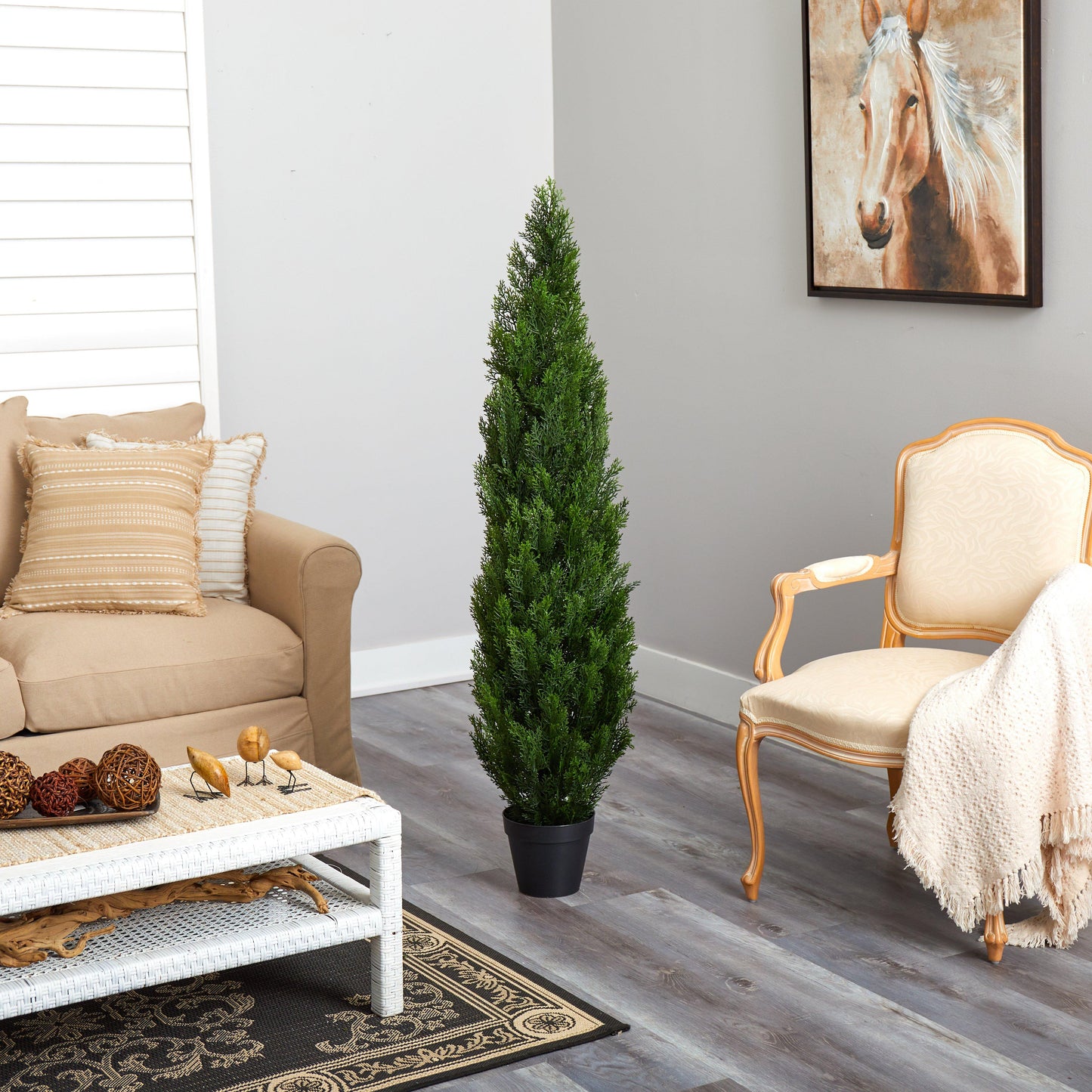 5' Mini Cedar Pine Tree (Indoor/Outdoor) - Tampa Home & Garden Store