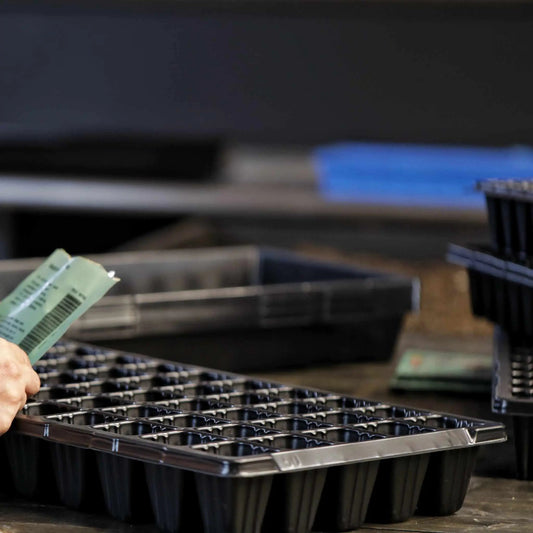 50 Cell Seed Tray Cell Plug Tray - Tampa Home & Garden Store