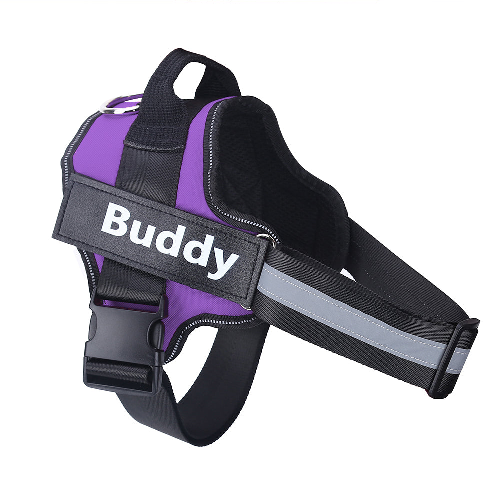 no-pull dog harness vest in purple and black with reflective strap Buddy patch Pet Zen on Tampa Home & Garden Store