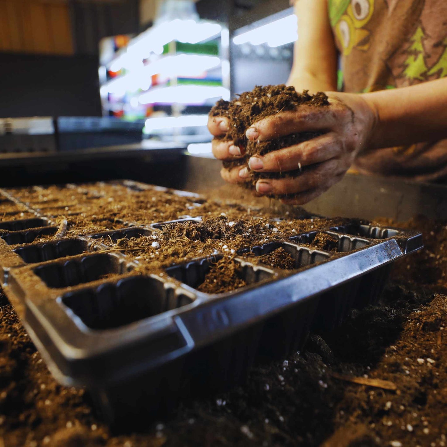 Bandeja de semillas de 50 celdas Bandeja de tapones de celdas