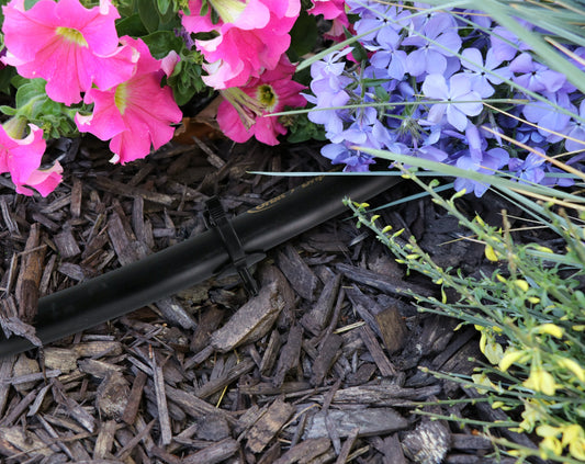 1/4 in drip self-piercing coupling on black irrigation tubing Orbit Irrigation on Tampa Home & Garden Store