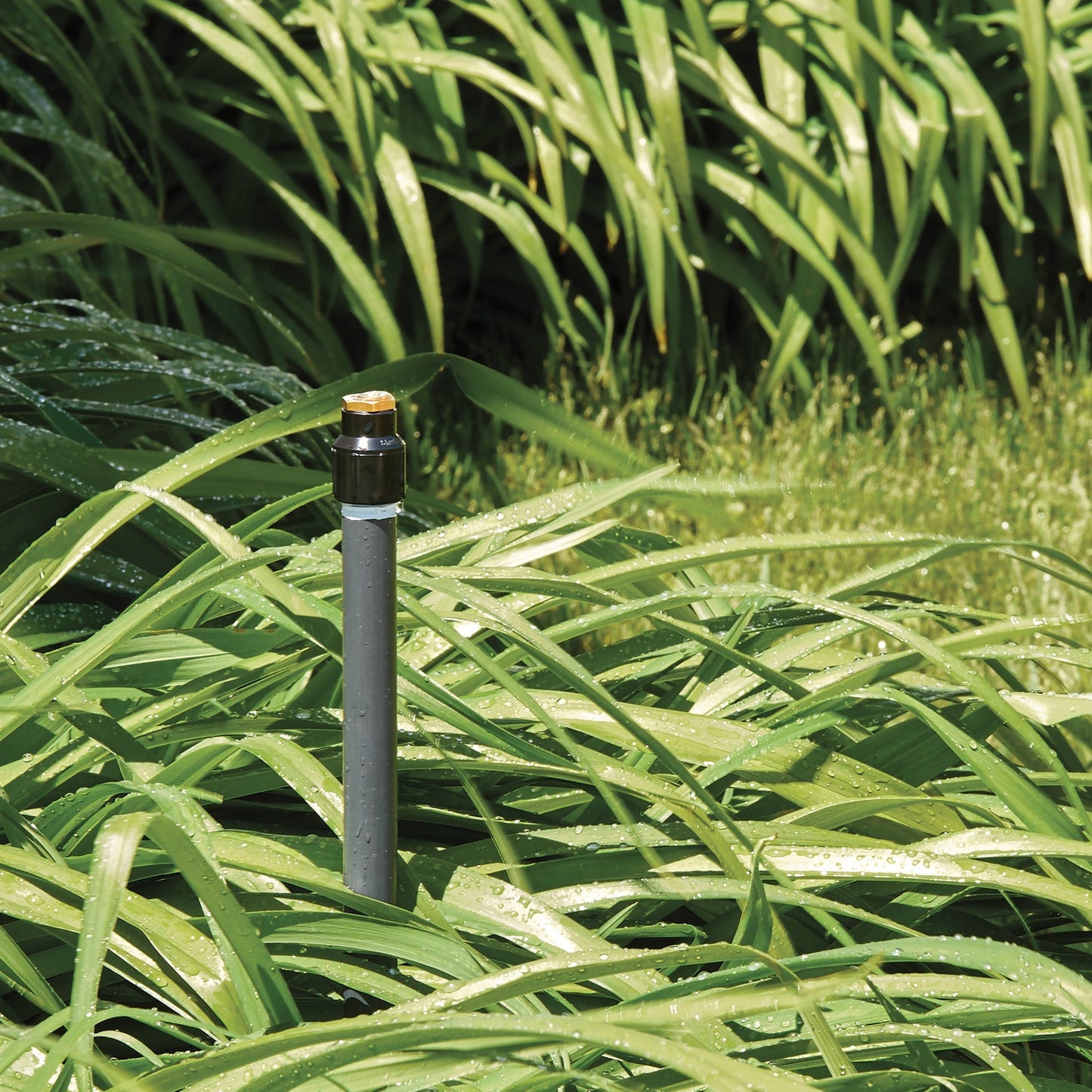 Shrub head sprinkler with brass half-pattern nozzle on gray riser by Orbit Irrigation on Tampa Home & Garden Store