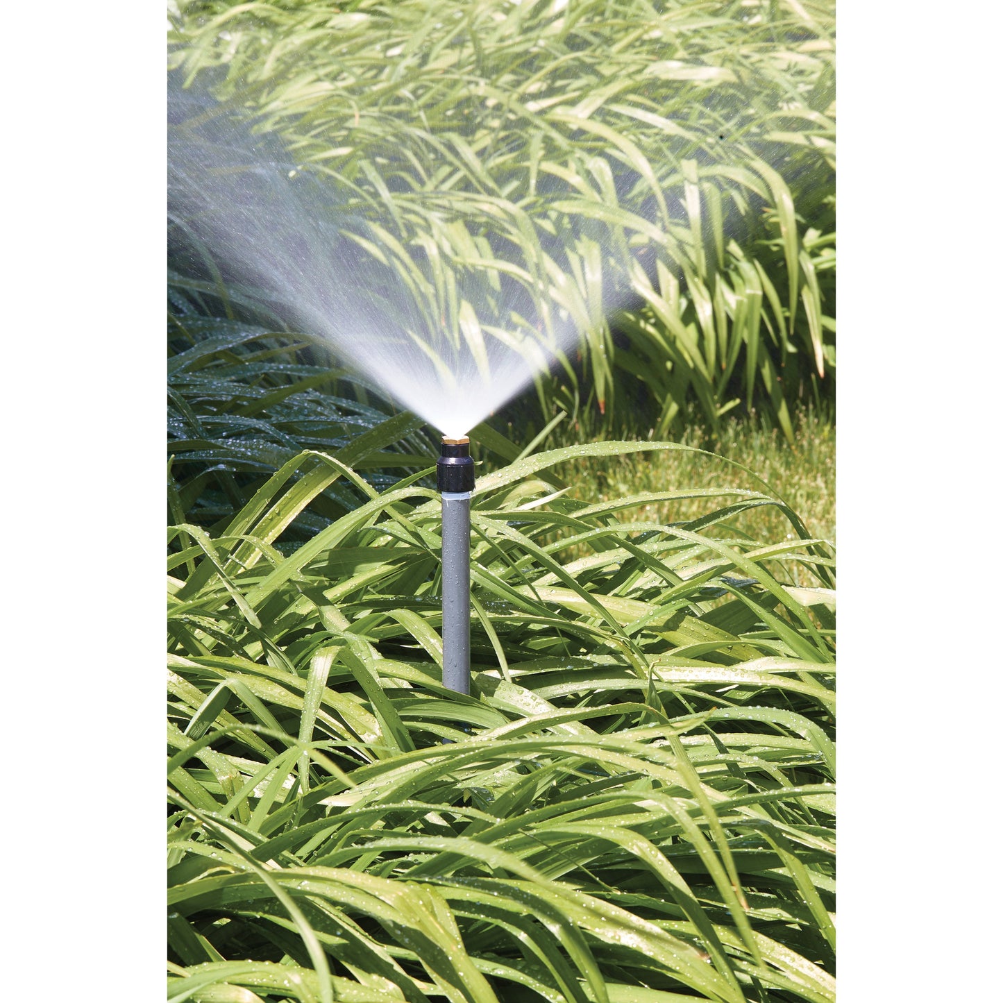 Shrub head sprinkler with brass full-pattern insert nozzle sprays water over grasses on Tampa Home & Garden Store