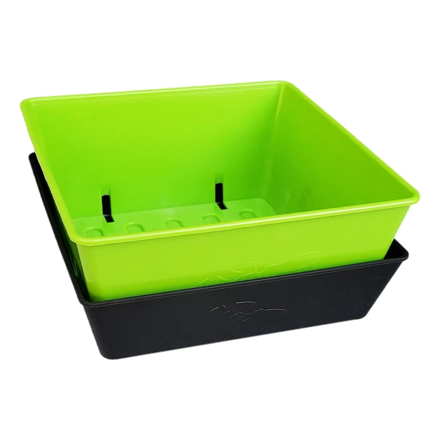 5x5 shallow microgreen trays Bootstrap Farmer, green top over black base, set of 2 on Tampa Home & Garden Store