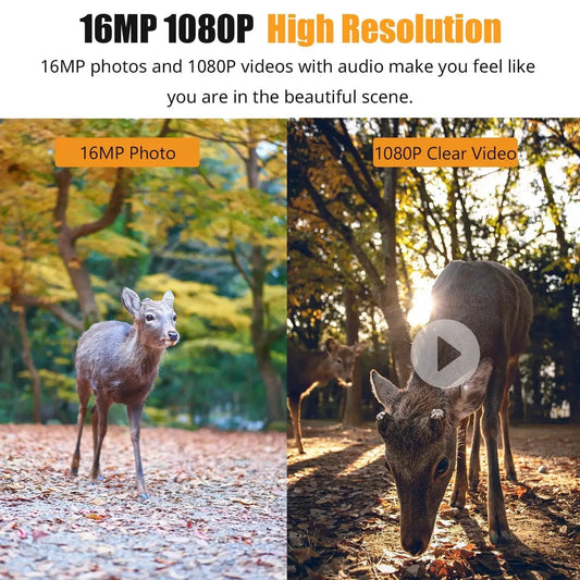 1080P Trail Camera collage showing 16MP photo and 1080P video of deer in a forest on Tampa Home & Garden Store