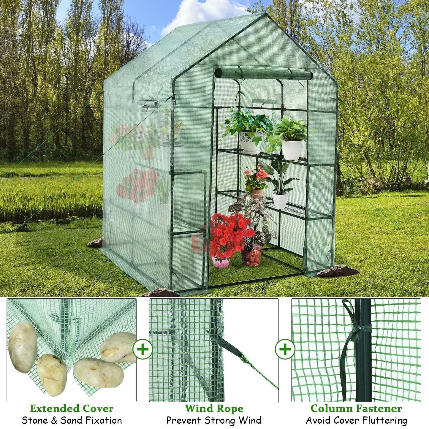 Walk-in Greenhouse 56x56x77 with green mesh cover and front window panels, plant display inside on Tampa Home & Garden Store