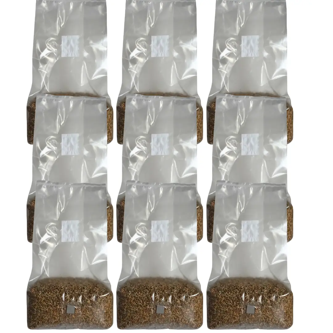 Sterile Mushroom Grain Spawn Bag (5 Pound) - Tampa Home & Garden Store