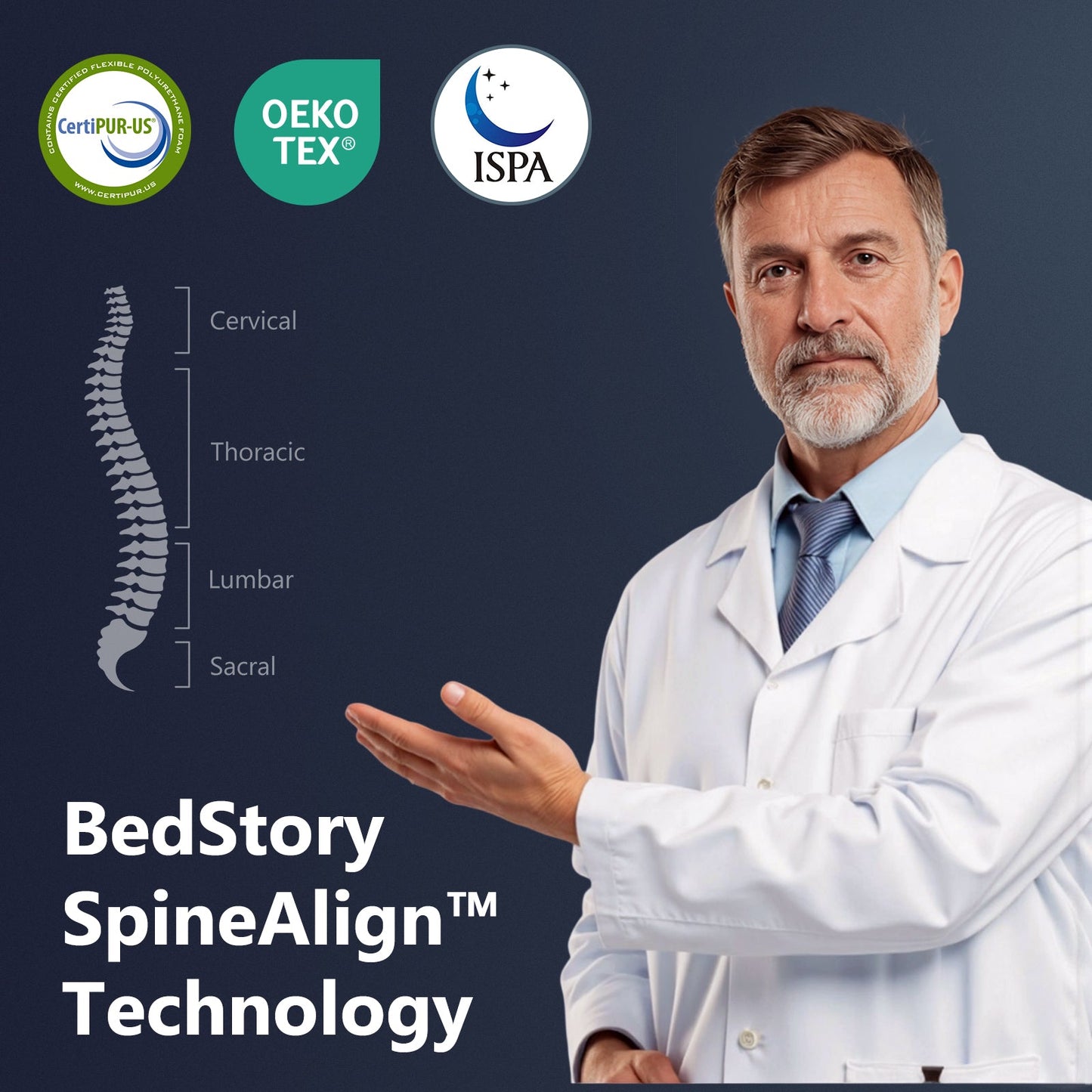 BedStory SpineAlign mattress tech banner with doctor figure and CertiPUR-US, OEKO-TEX, ISPA logos on Tampa Home & Garden Store