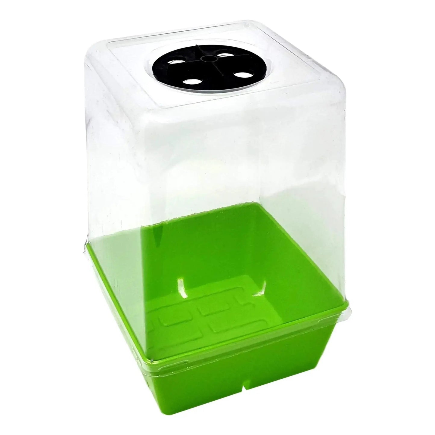 5x5 Plant Humidity Dome Bootstrap Farmer for germination, white base with black vent disk on Tampa Home & Garden Store