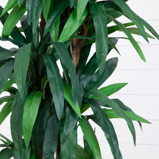 Dracaena Tree artificial plant, 6.5 ft tall with glossy green strap leaves and brown trunk on Tampa Home & Garden Store