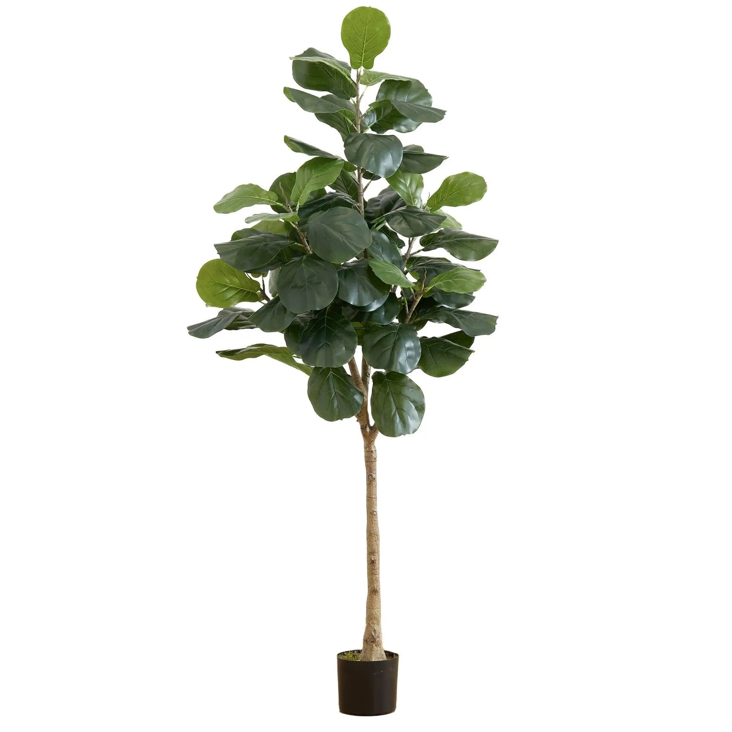 6-foot artificial fiddle leaf tree for indoor decor with glossy green leaves in a black pot on Tampa Home & Garden Store
