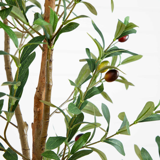 6’ Artificial Olive Tree with Natural Trunk - Tampa Home & Garden Store