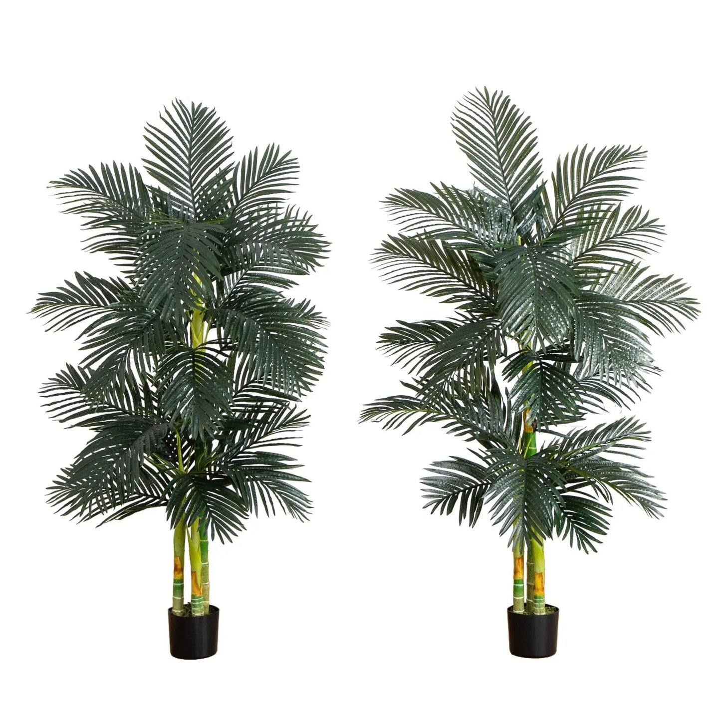 6 ft artificial Golden Cane Palm Trees, set of 2, with black pots by Nearly Natural on Tampa Home & Garden Store