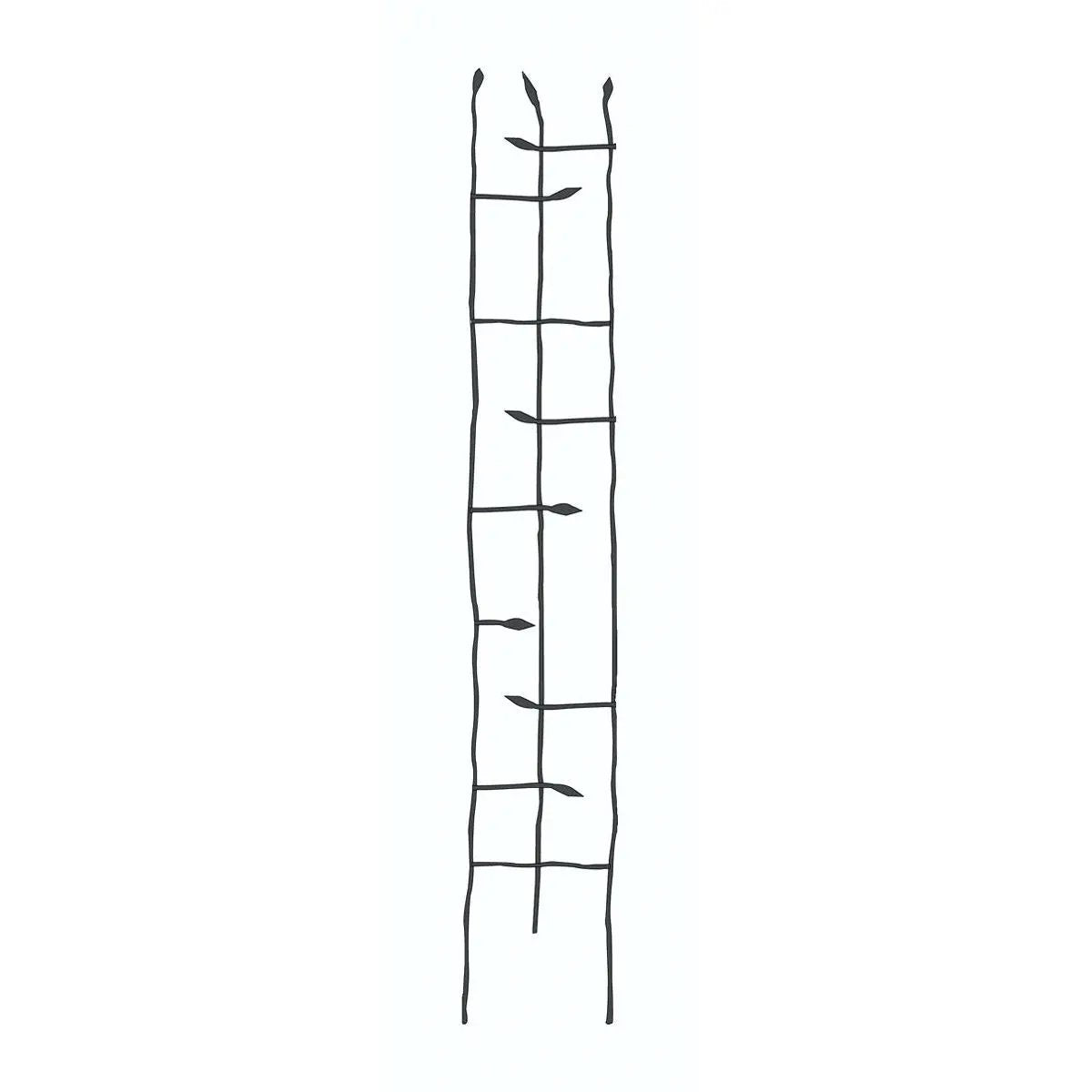 6-Ft Garden Trellis with sprouting twig leaves in black metal on Tampa Home & Garden Store