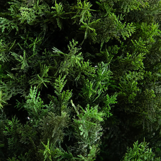 6 ft UV resistant artificial cedar tree foliage close-up in vivid green needles on Tampa Home & Garden Store