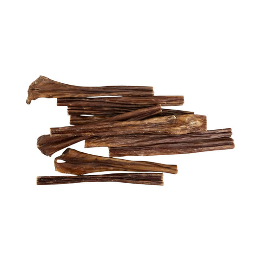 - image on Tampa Home & Garden Store