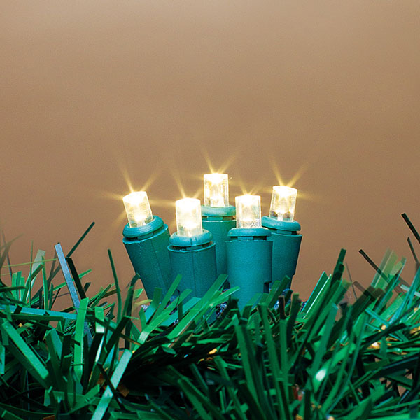 60 Indoor/Outdoor LED String LIght - Warm White - Green Wire - Tampa Home & Garden Store