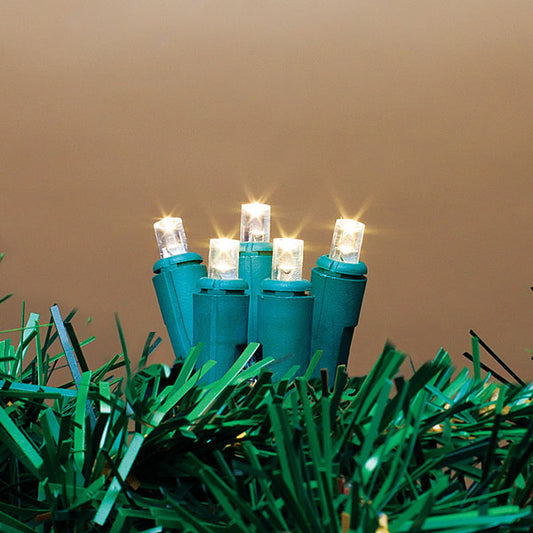 60 Warm White LED 16 Function String Light - Tampa Home & Garden Store