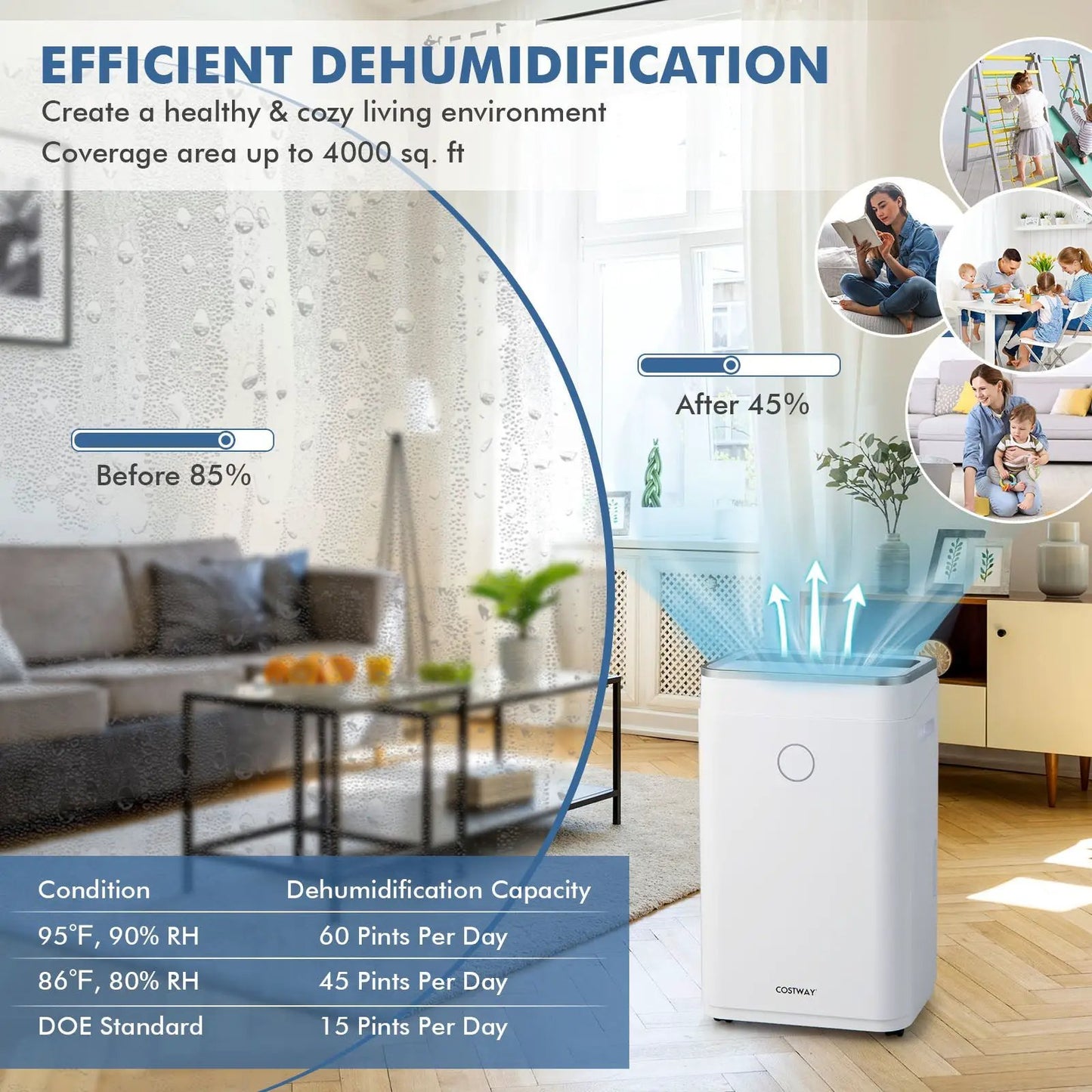 White Costway 60-Pint Dehumidifier for home and basements on Tampa Home & Garden Store