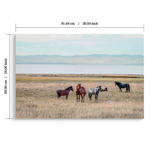 Horse framed canvas wall art in denim brown featuring a herd grazing in a wide meadow with distant mountains on Tampa Home & Garden Store