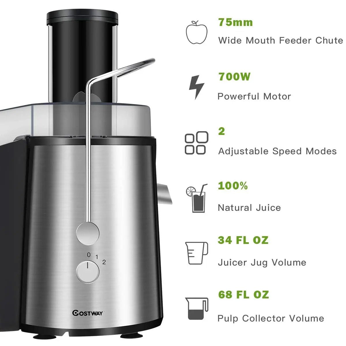 2 Speed Electric Juice Press for Fruit and Vegetable - Tampa Home & Garden Store