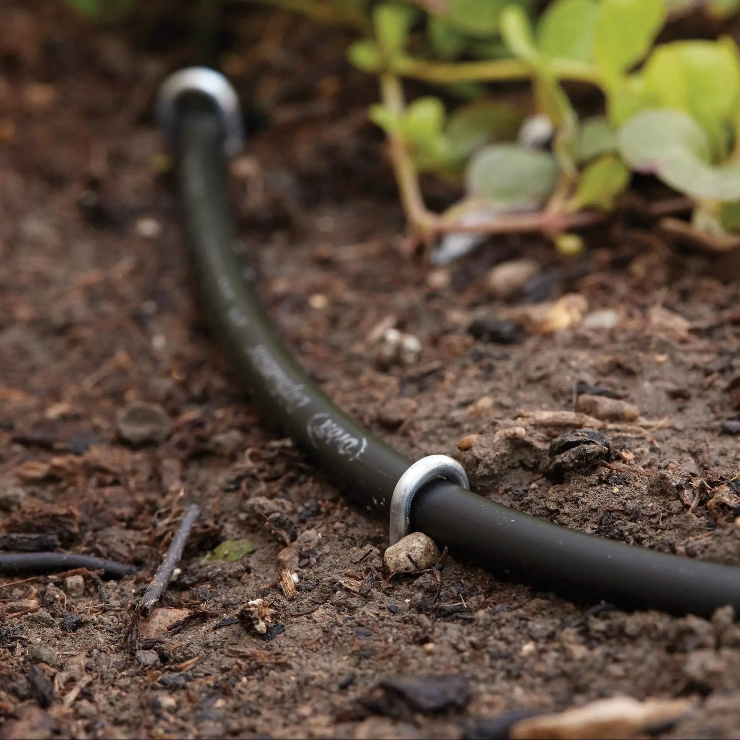 Quarter inch drip tubing loop stake in soil beside black irrigation tube with metal stake on Tampa Home & Garden Store