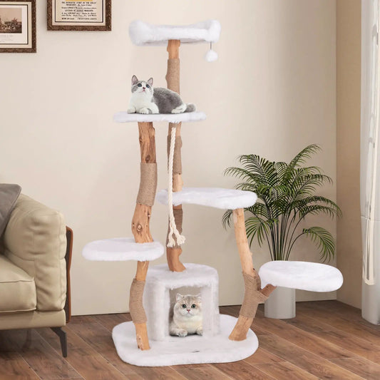 Tall 66-inch solid wood cat tree with white plush platforms and sisal-wrapped posts, two cats on Tampa Home & Garden Store
