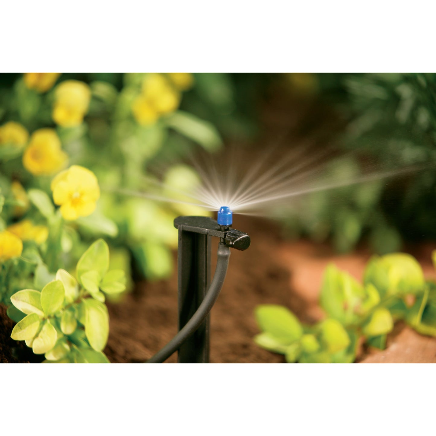 1/4-inch barb micro-sprinkler on a 12-inch stake, blue Orbit Irrigation spray head on Tampa Home & Garden Store