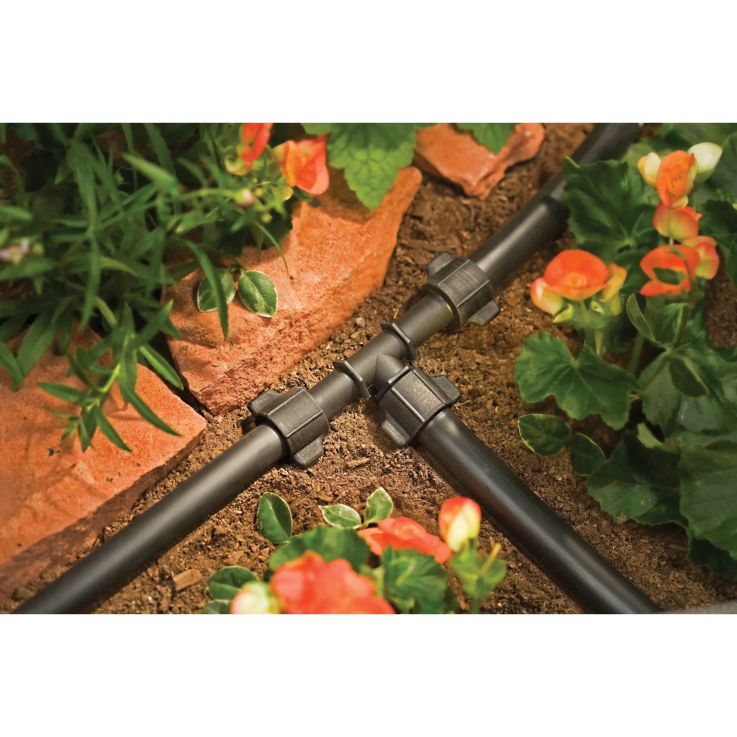 1/2 universal drip tee for distribution tubing in black plastic on a drip line on Tampa Home & Garden Store