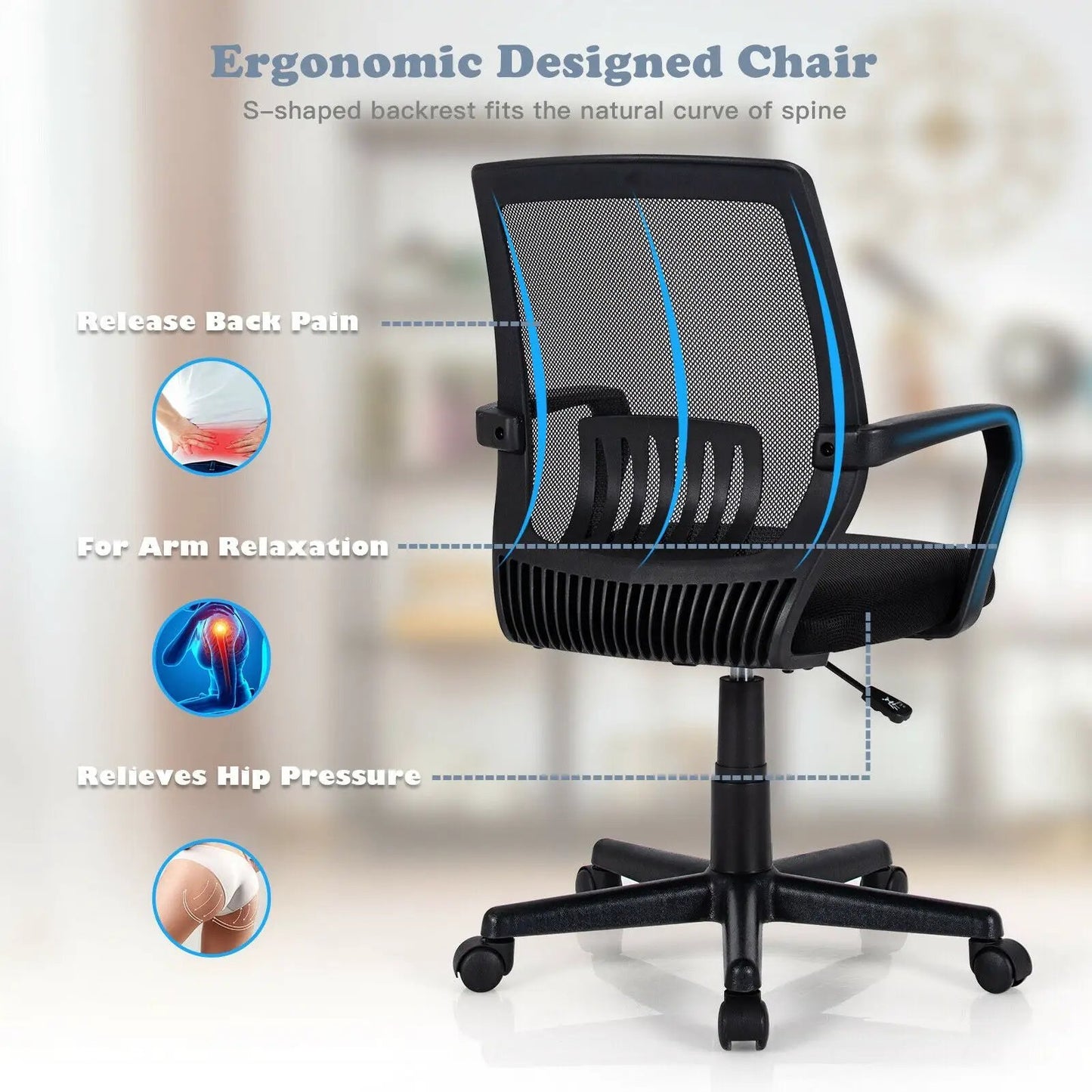 Mid-Back Mesh Height Adjustable Executive Chair with Lumbar Support - Tampa Home & Garden Store