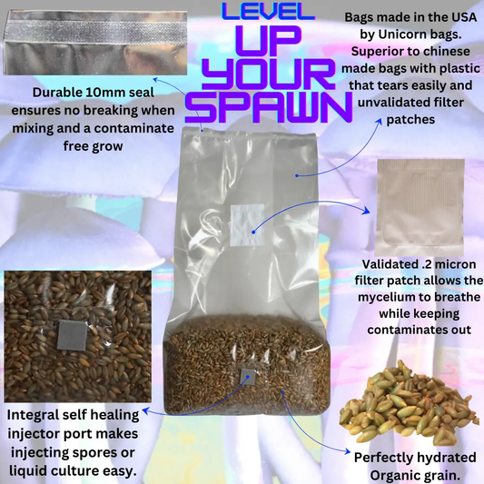 Sterile Mushroom Grain Spawn Bag, 5 lb, clear plastic with grain substrate Mushroom Spawn Store on Tampa Home & Garden Store