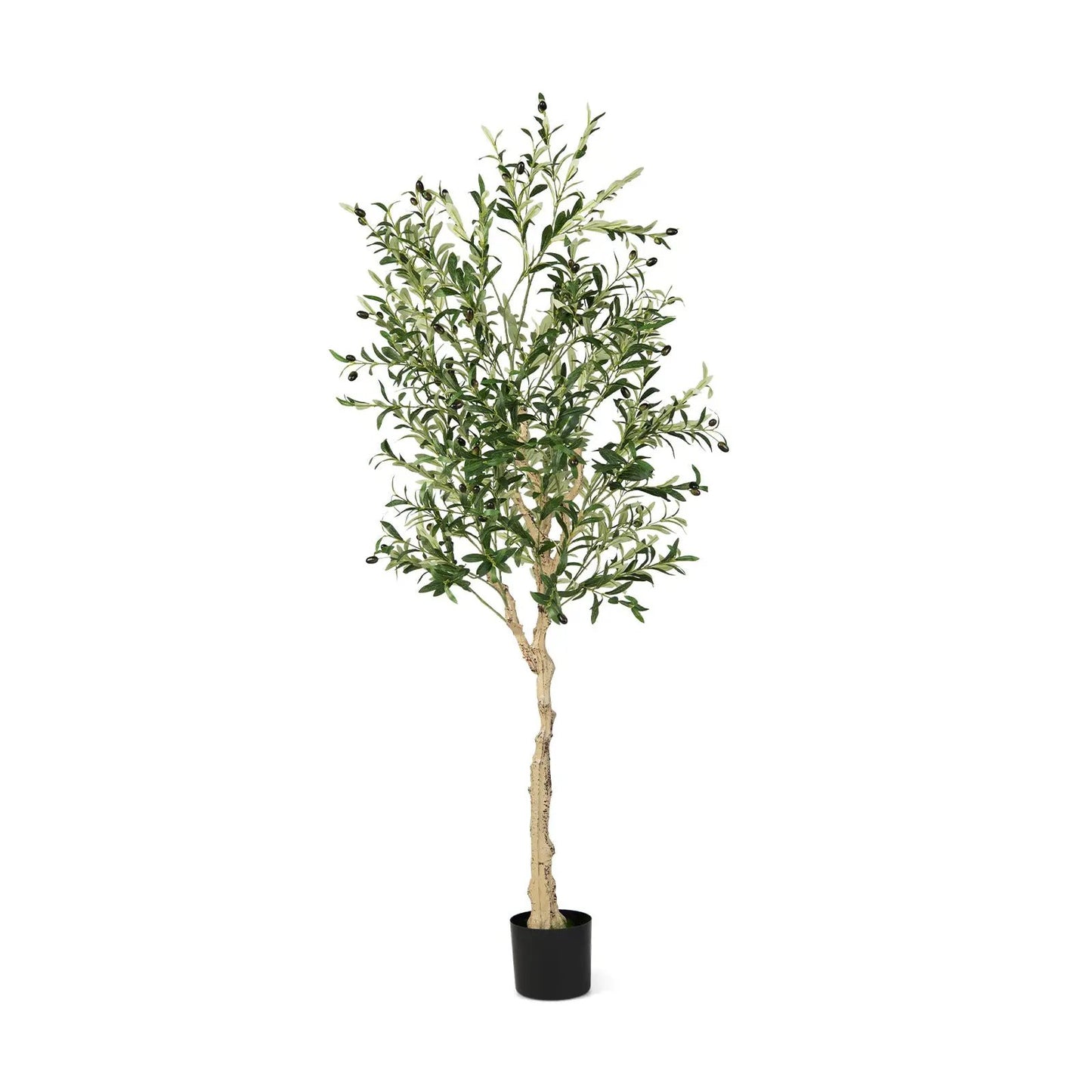 6 Feet Artificial Olive Tree in black pot with olive-green leaves DirectDeals on Tampa Home & Garden Store