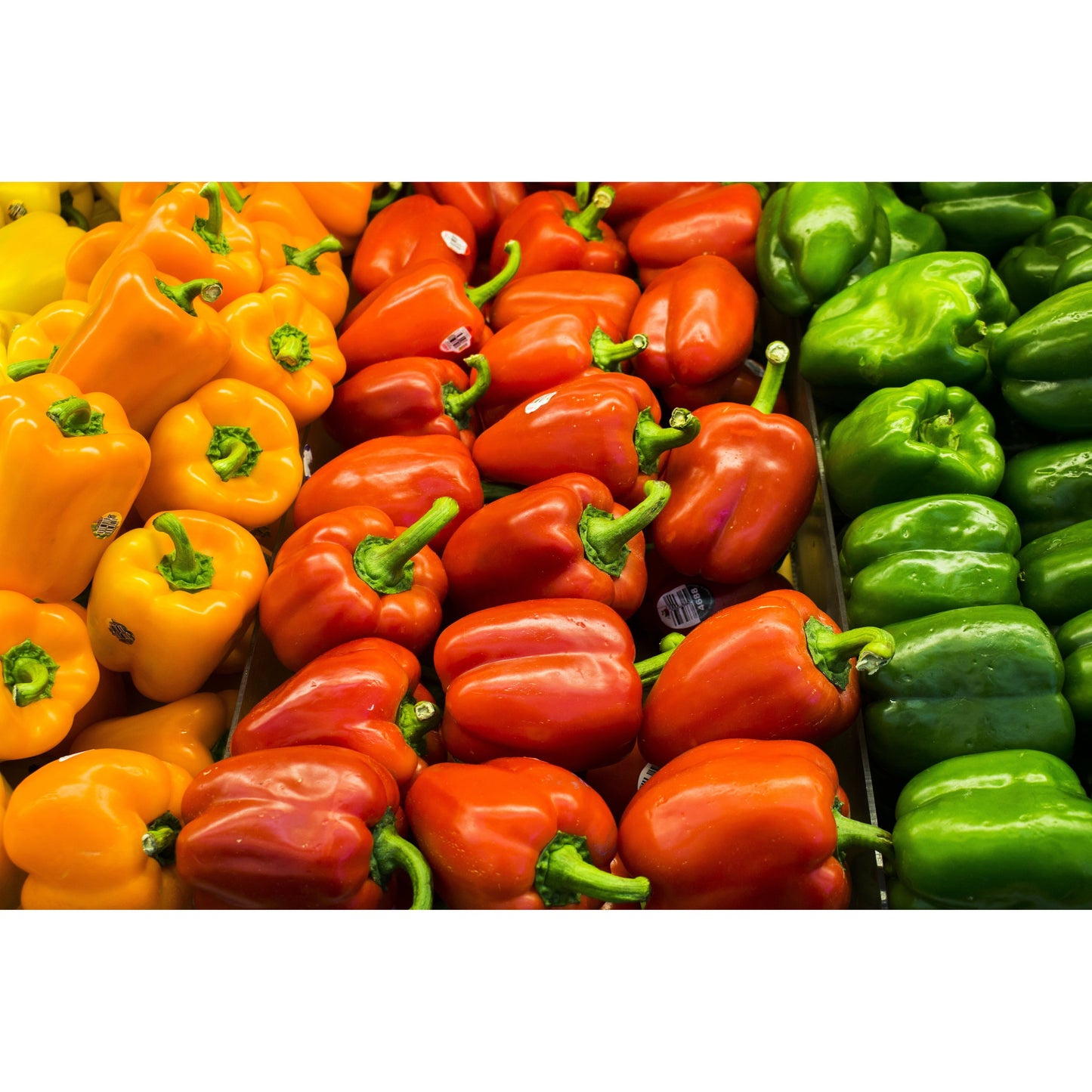 Bell peppers in yellow orange red and green on display GS Plant Foods Turbo Soil Bio-Blend on Tampa Home & Garden Store
