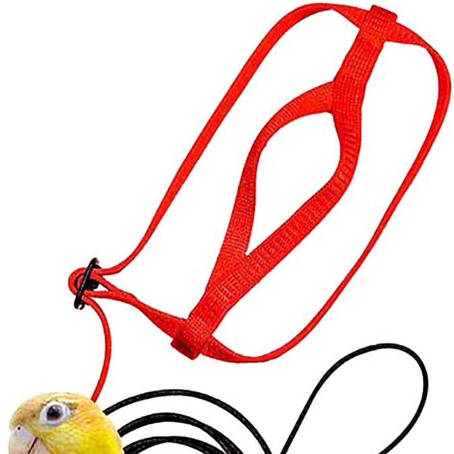 Parrot harness with red nylon flying-rope and adjustable straps on Tampa Home & Garden Store