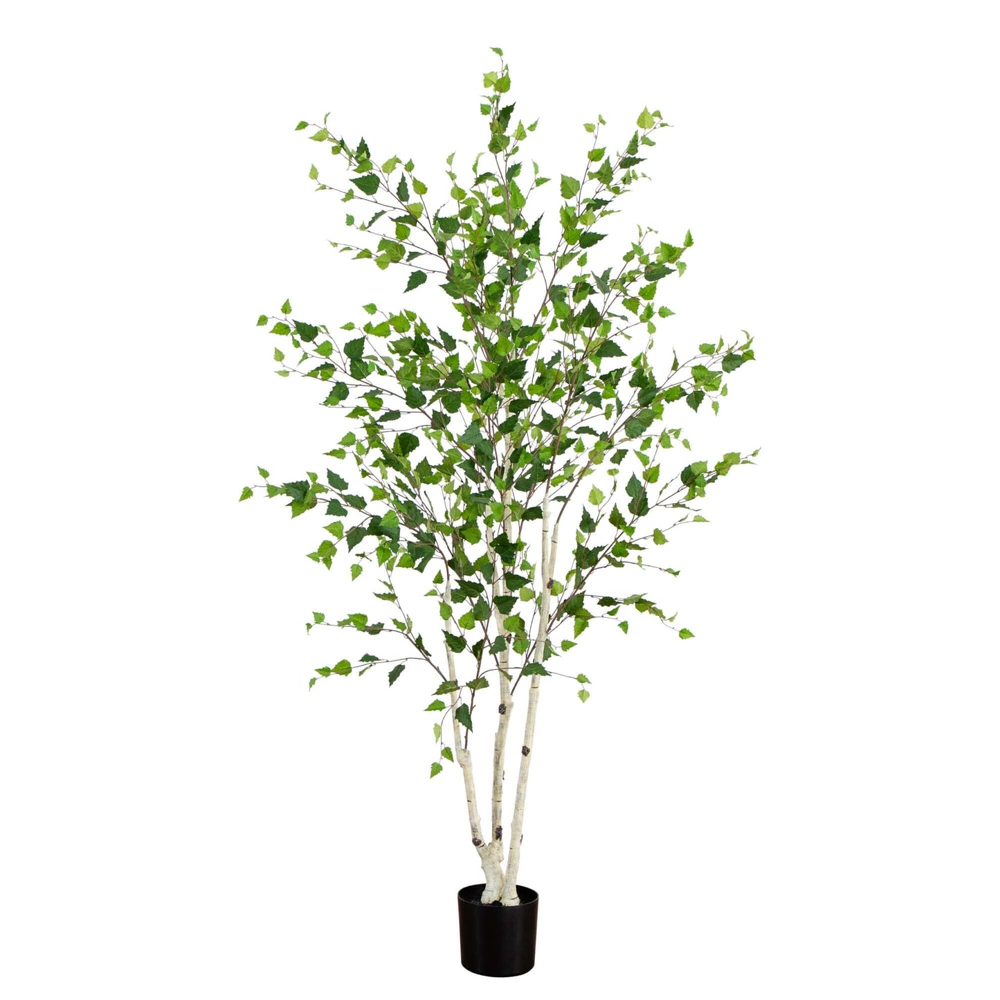 7 ft Artificial Birch Tree with Real Touch Leaves by Nearly Natural in black pot on Tampa Home & Garden Store